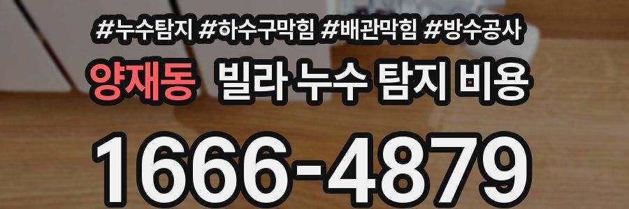양재동 빌라 누수 탐지 비용