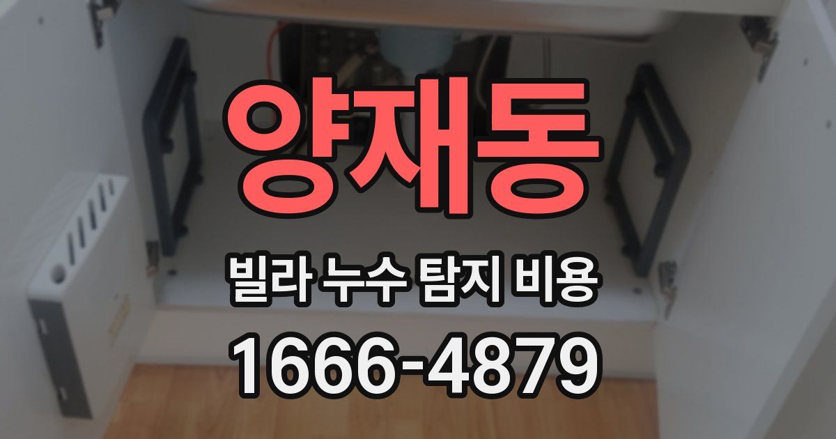 양재동 빌라 누수 탐지 비용
