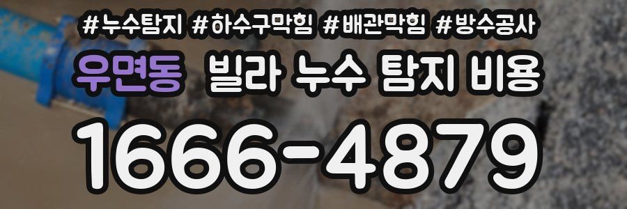 우면동 빌라 누수 탐지 비용
