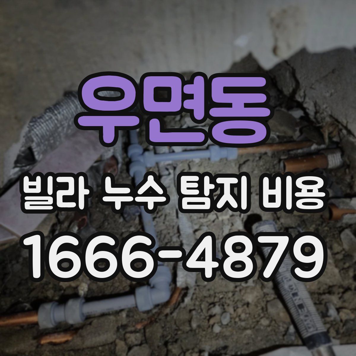 우면동 빌라 누수 탐지 비용