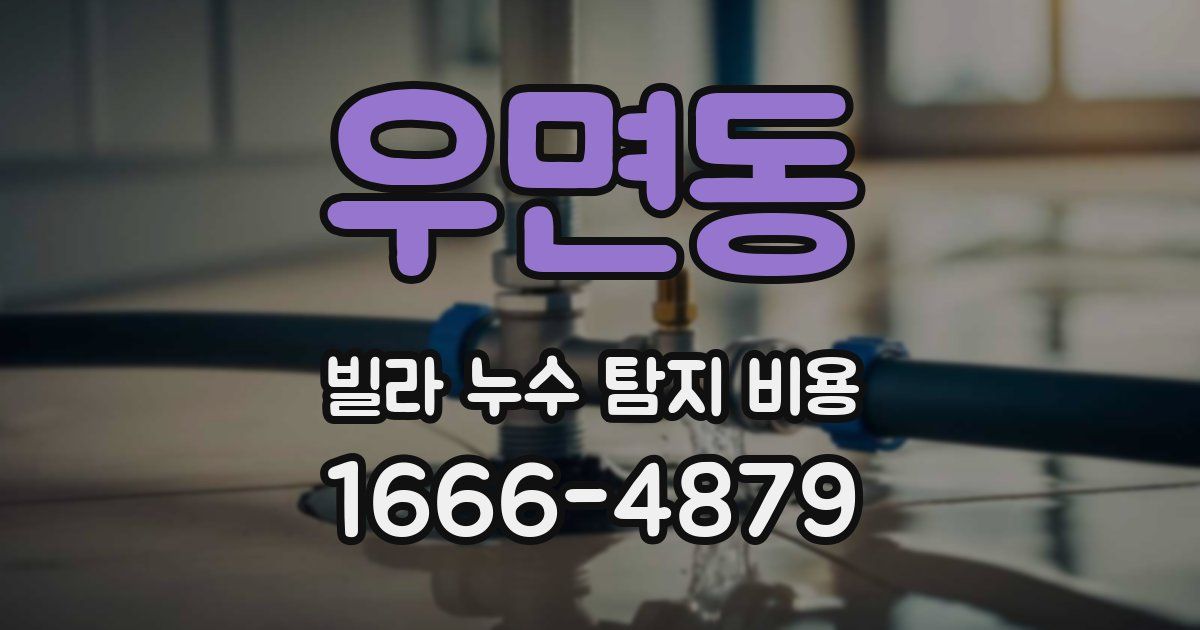 우면동 빌라 누수 탐지 비용