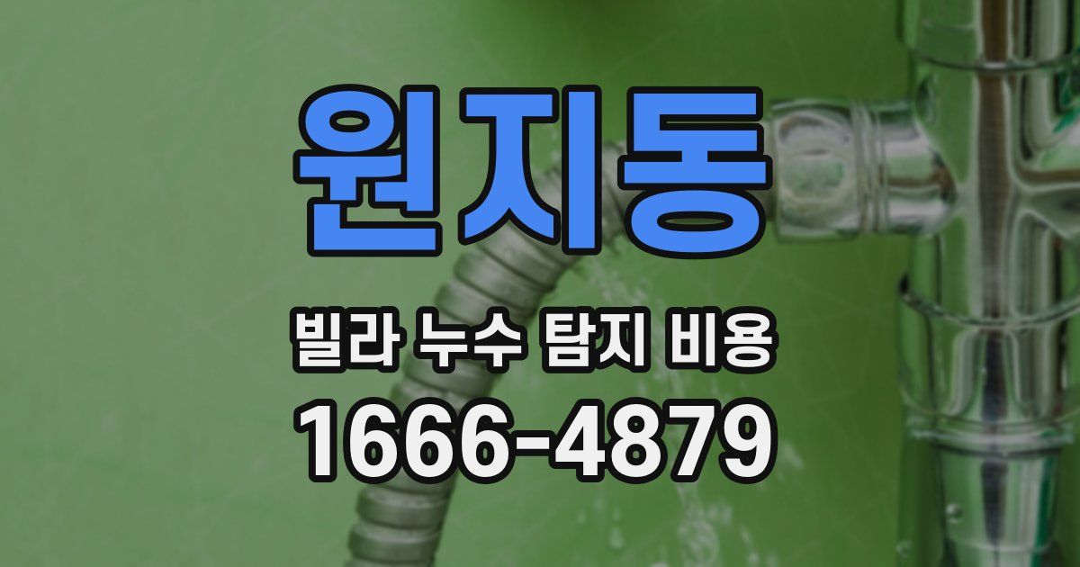 원지동 빌라 누수 탐지 비용