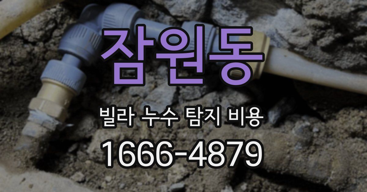 잠원동 빌라 누수 탐지 비용