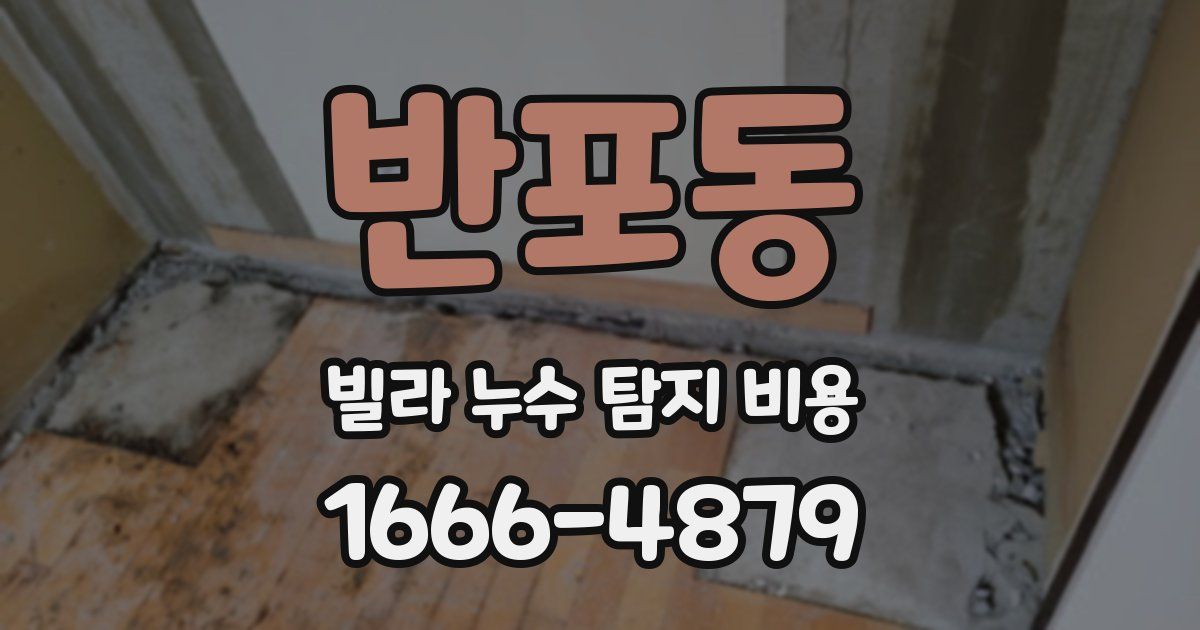 반포동 빌라 누수 탐지 비용