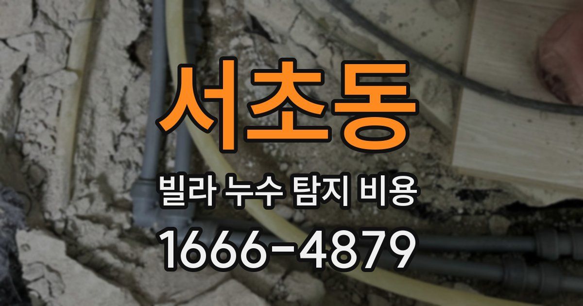서초동 빌라 누수 탐지 비용