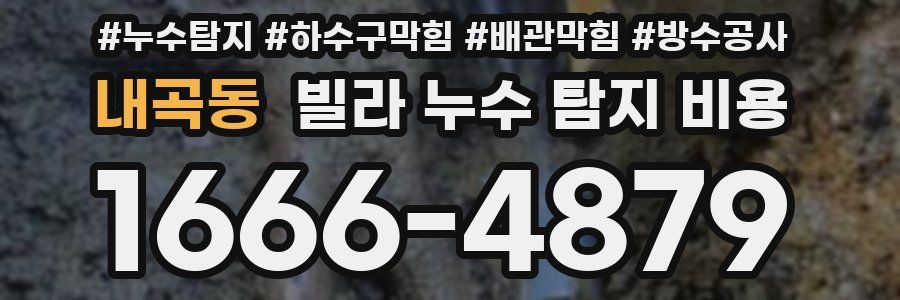 내곡동 빌라 누수 탐지 비용