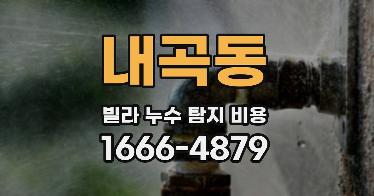 내곡동 빌라 누수 탐지 비용