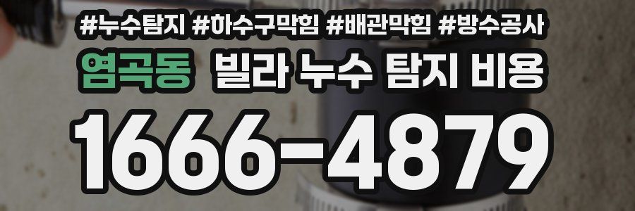 염곡동 빌라 누수 탐지 비용