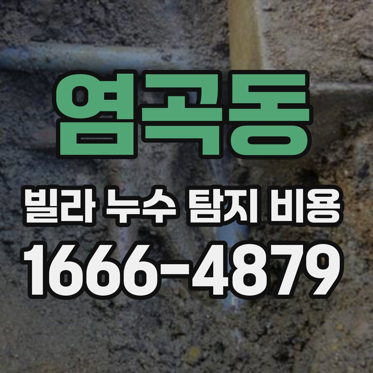 염곡동 빌라 누수 탐지 비용