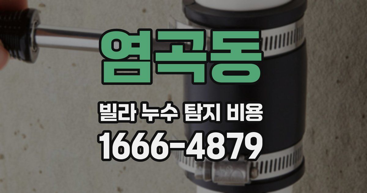 염곡동 빌라 누수 탐지 비용