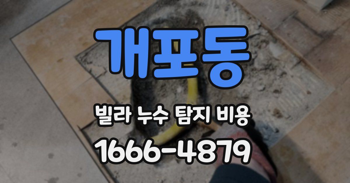 개포동 빌라 누수 탐지 비용