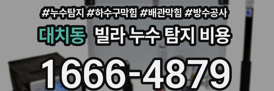 대치동 빌라 누수 탐지 비용