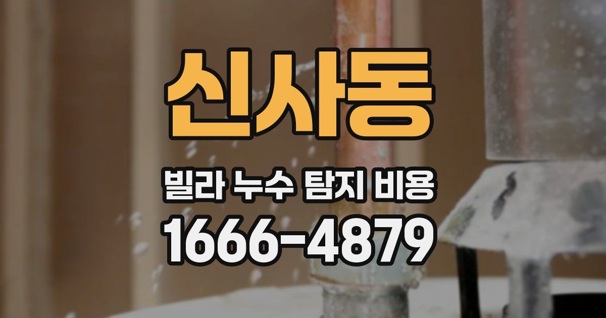 신사동 빌라 누수 탐지 비용