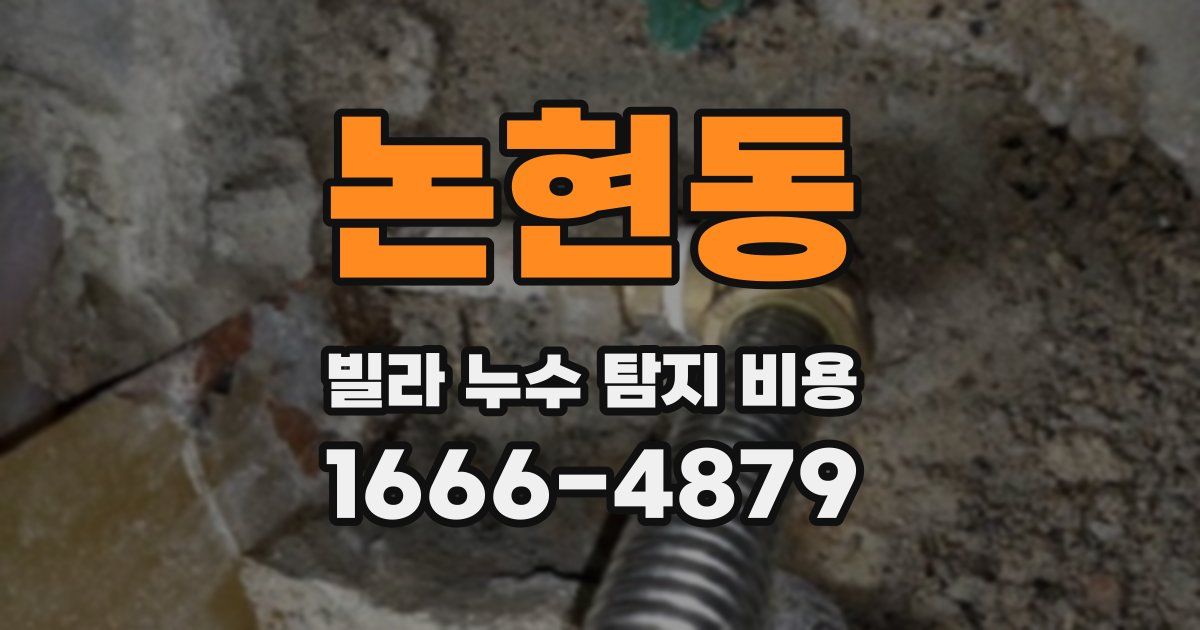 논현동 빌라 누수 탐지 비용
