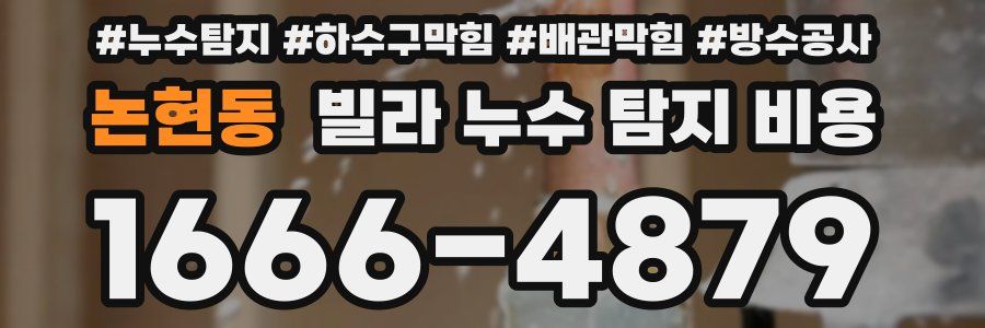 논현동 빌라 누수 탐지 비용