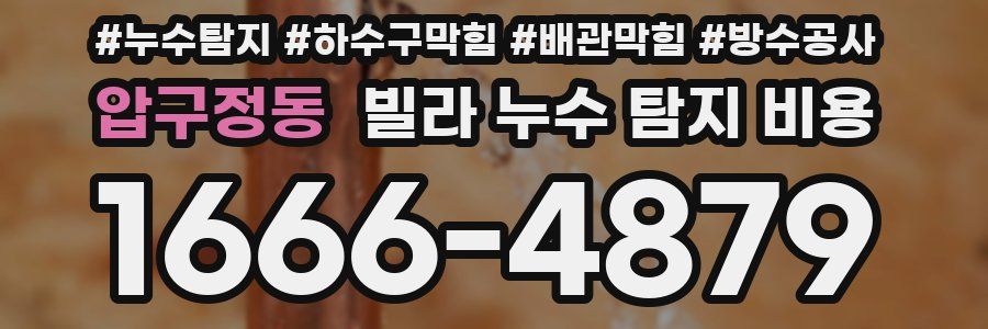 압구정동 빌라 누수 탐지 비용