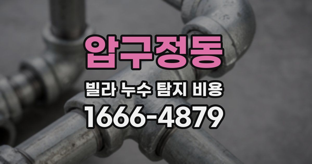 압구정동 빌라 누수 탐지 비용