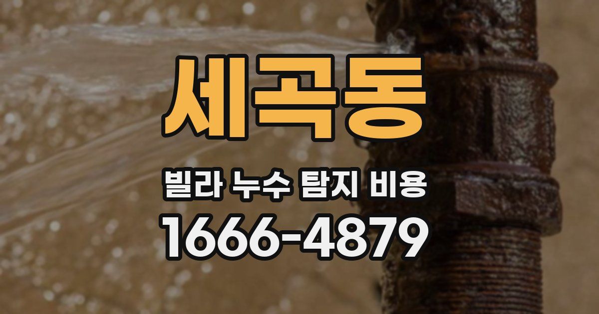 세곡동 빌라 누수 탐지 비용