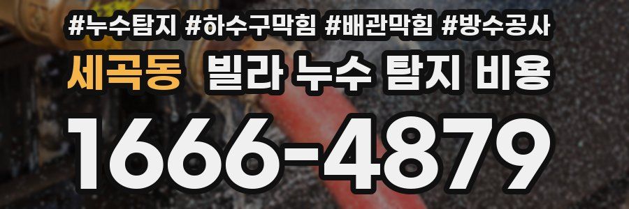 세곡동 빌라 누수 탐지 비용