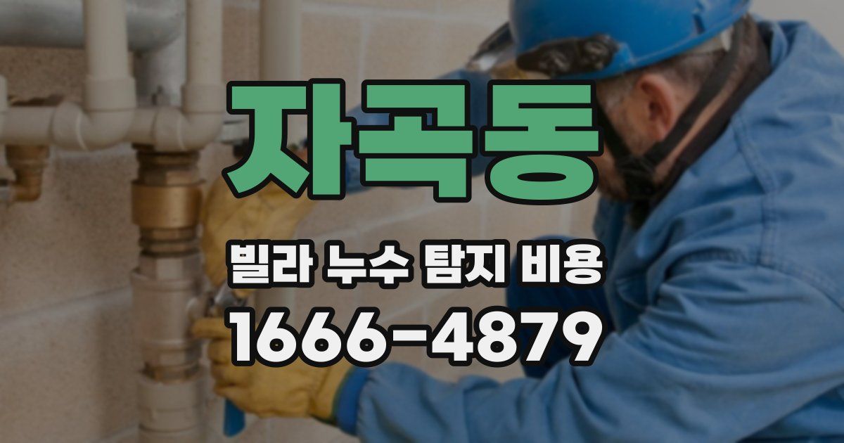 자곡동 빌라 누수 탐지 비용