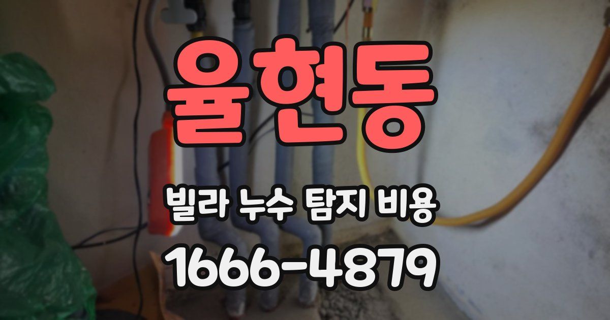 율현동 빌라 누수 탐지 비용