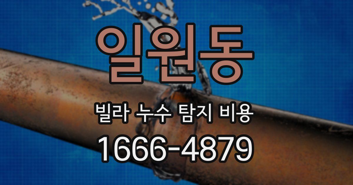 일원동 빌라 누수 탐지 비용