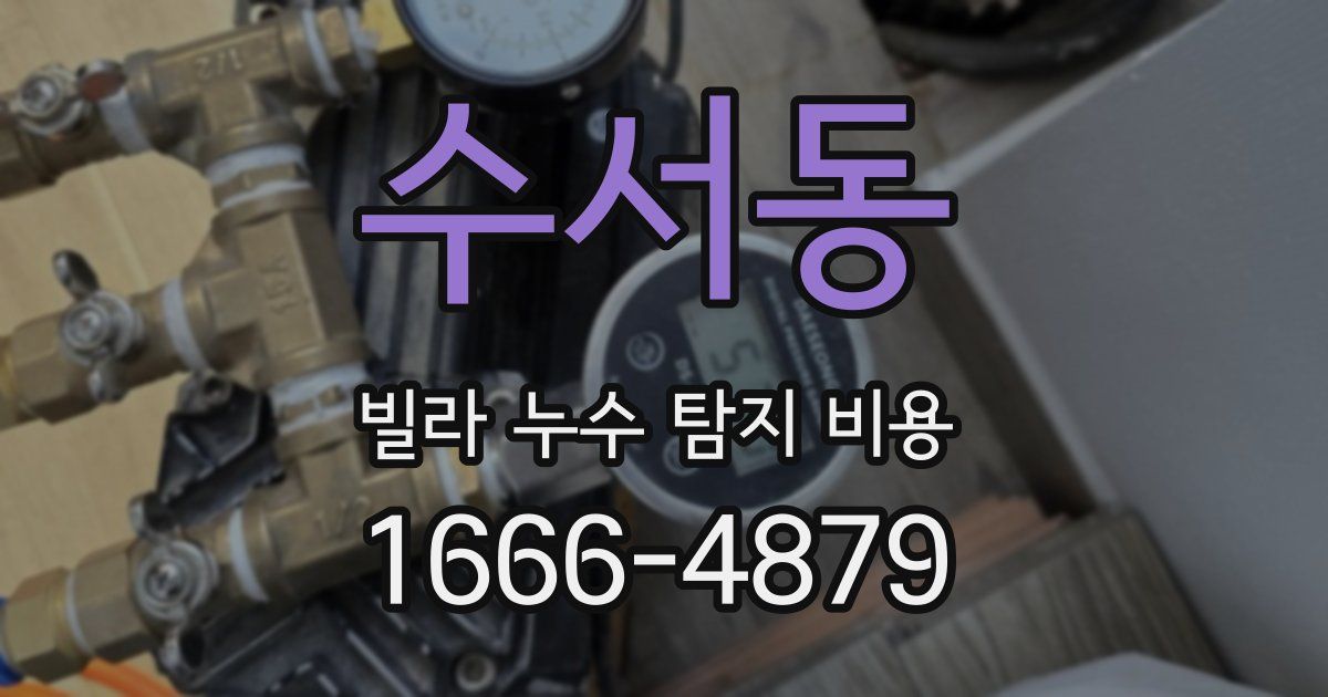 수서동 빌라 누수 탐지 비용