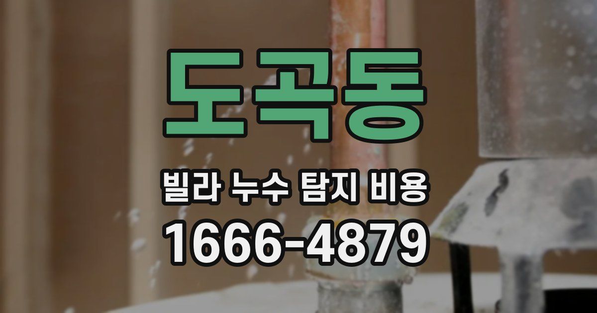 도곡동 빌라 누수 탐지 비용