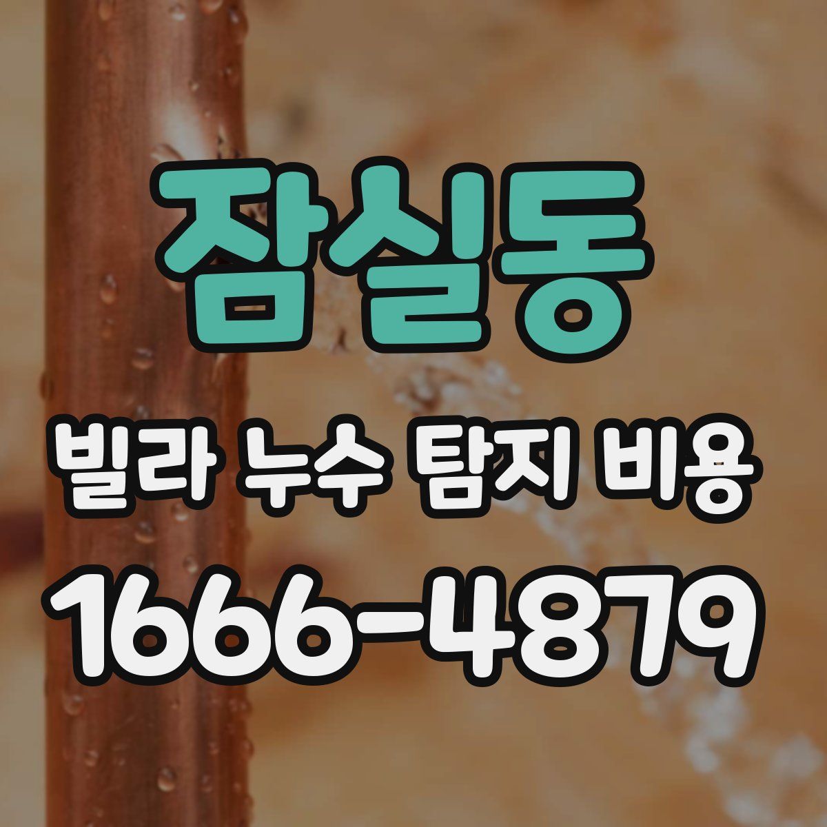 잠실동 빌라 누수 탐지 비용