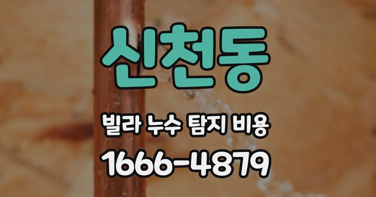 신천동 빌라 누수 탐지 비용