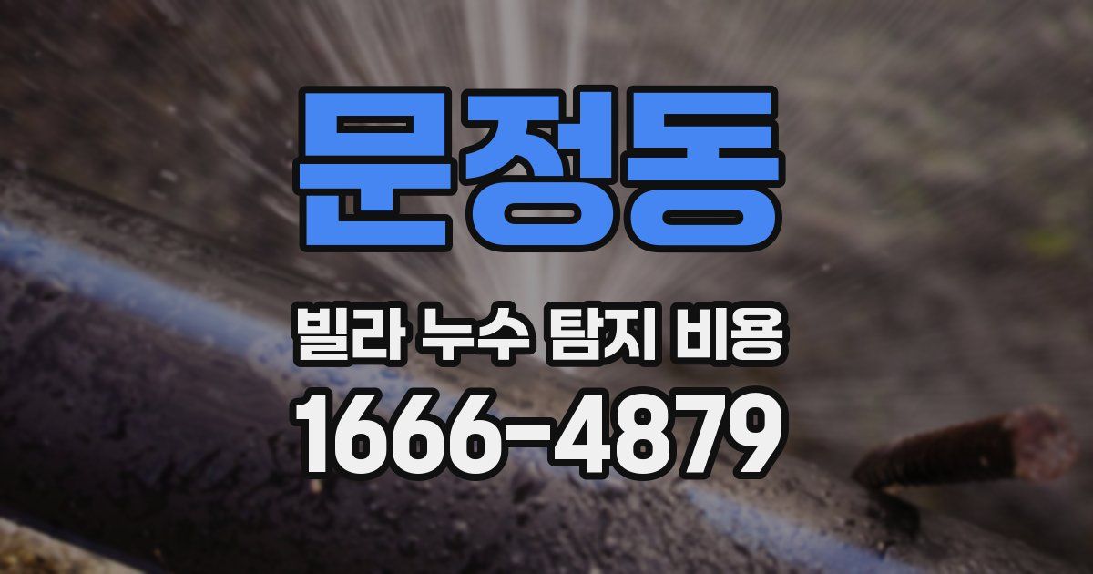 문정동 빌라 누수 탐지 비용