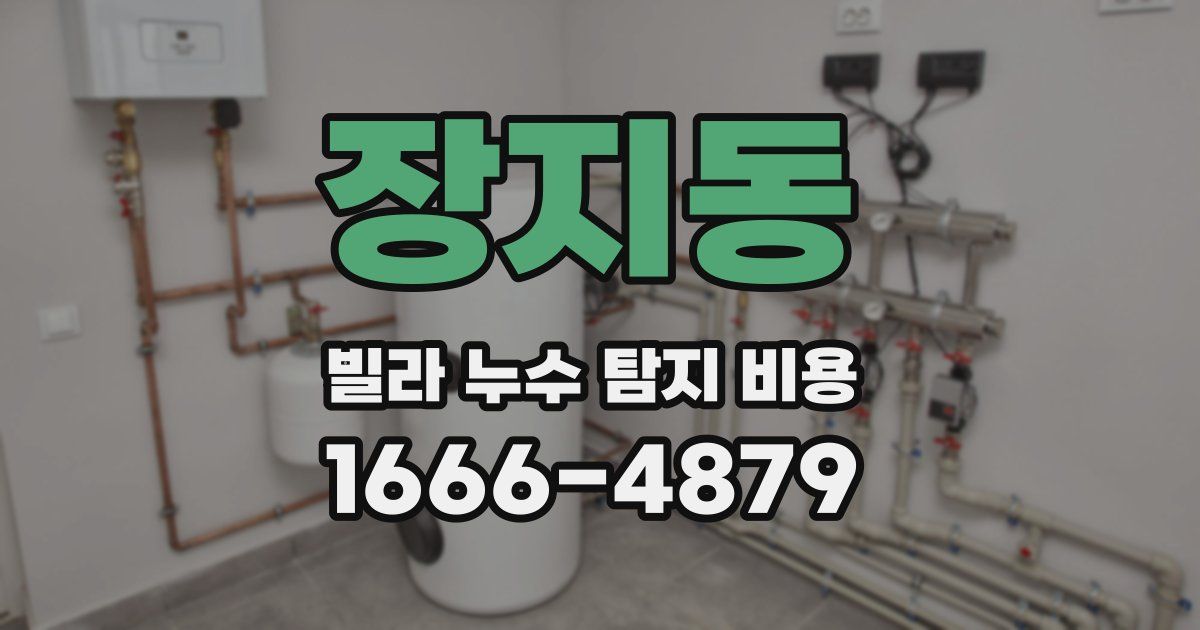 장지동 빌라 누수 탐지 비용