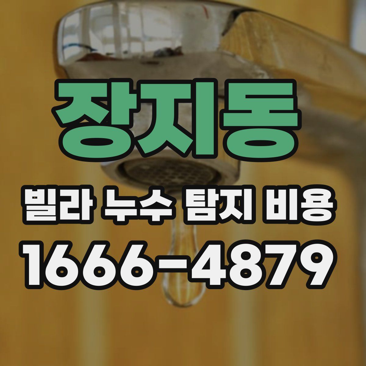 장지동 빌라 누수 탐지 비용