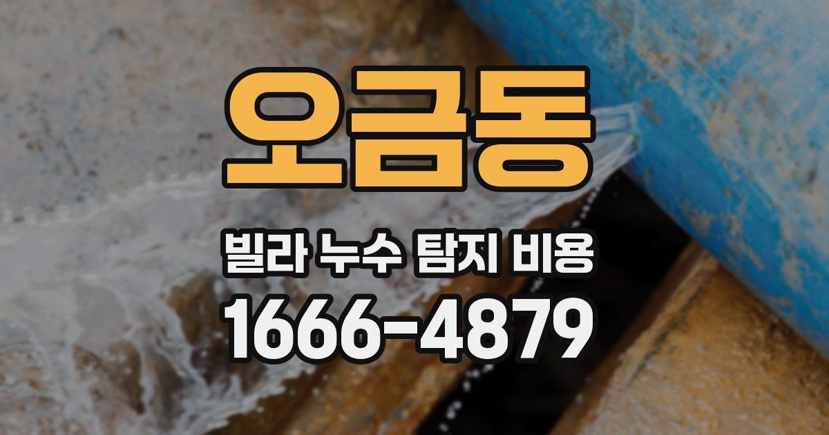 오금동 빌라 누수 탐지 비용
