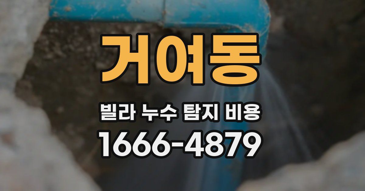 거여동 빌라 누수 탐지 비용