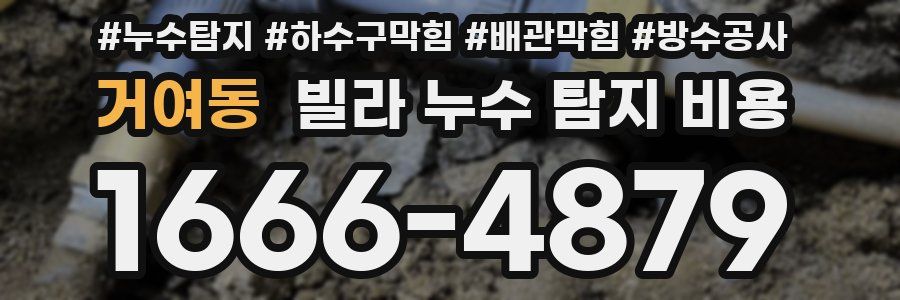 거여동 빌라 누수 탐지 비용