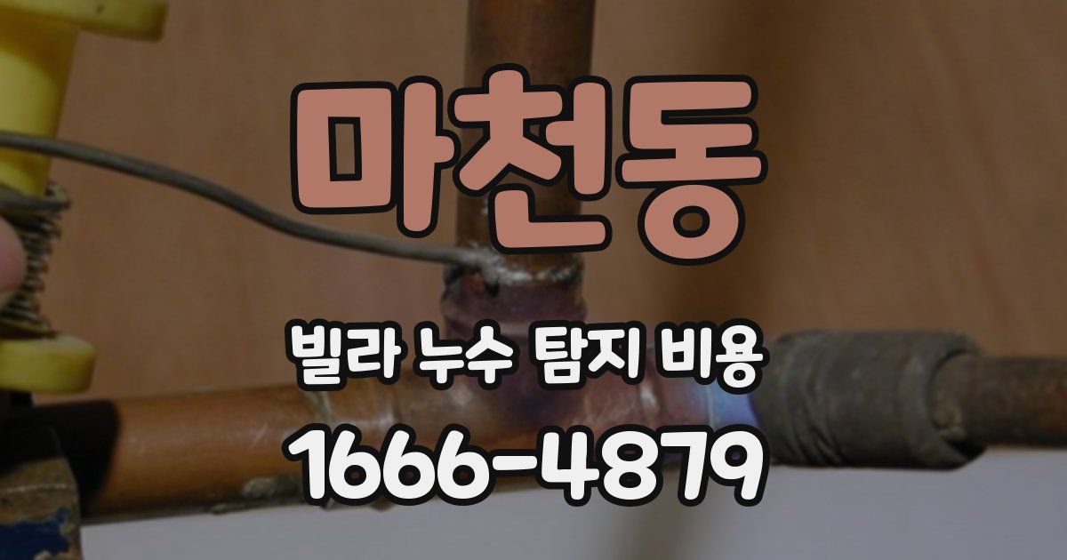 마천동 빌라 누수 탐지 비용