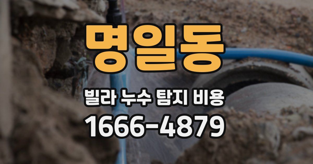 명일동 빌라 누수 탐지 비용