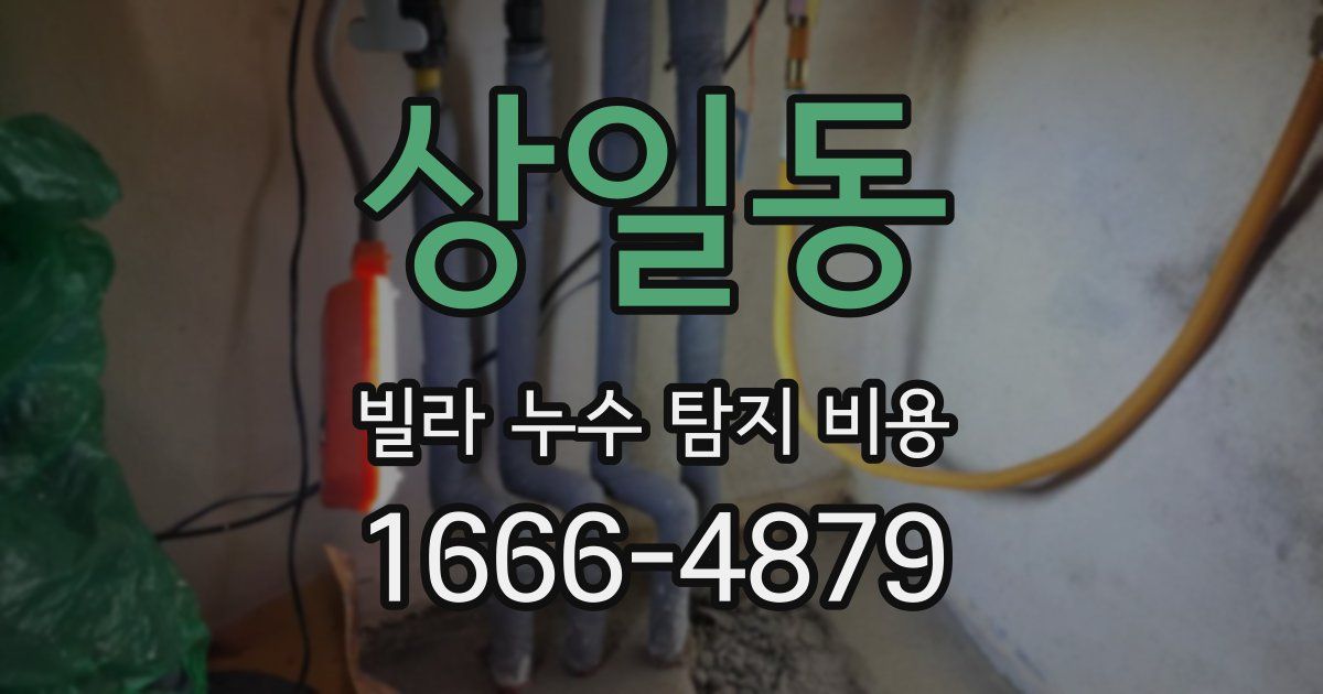 상일동 빌라 누수 탐지 비용