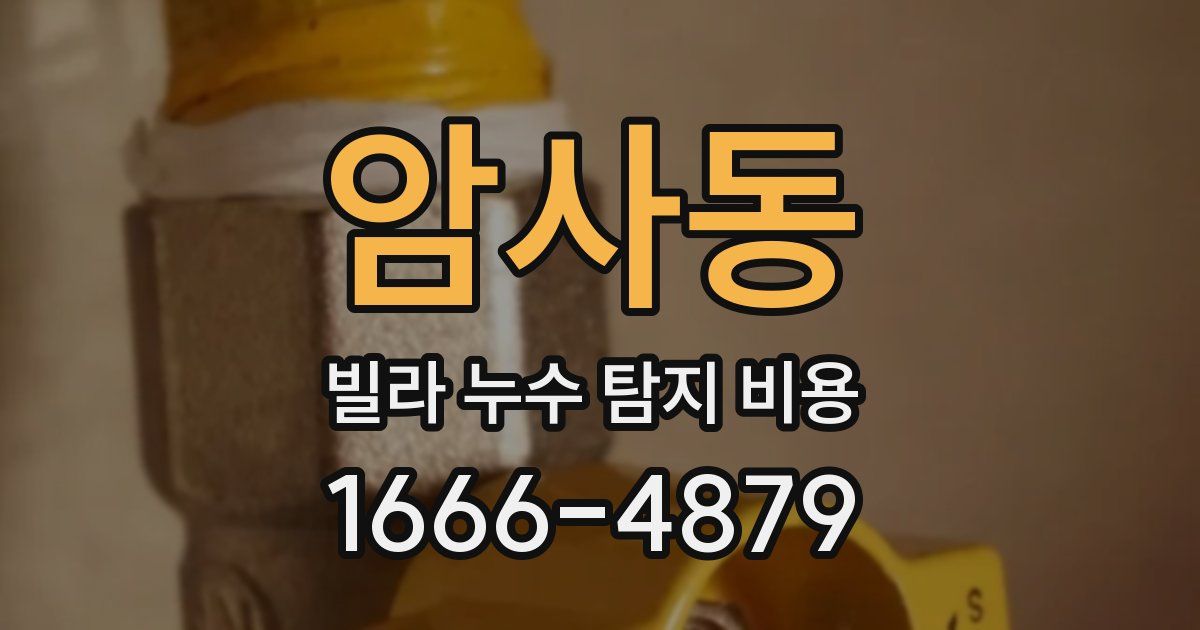 암사동 빌라 누수 탐지 비용
