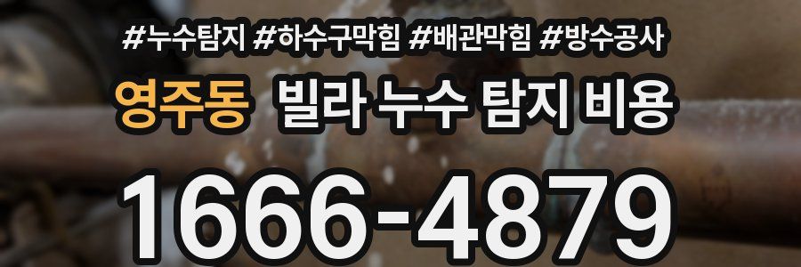 영주동 빌라 누수 탐지 비용