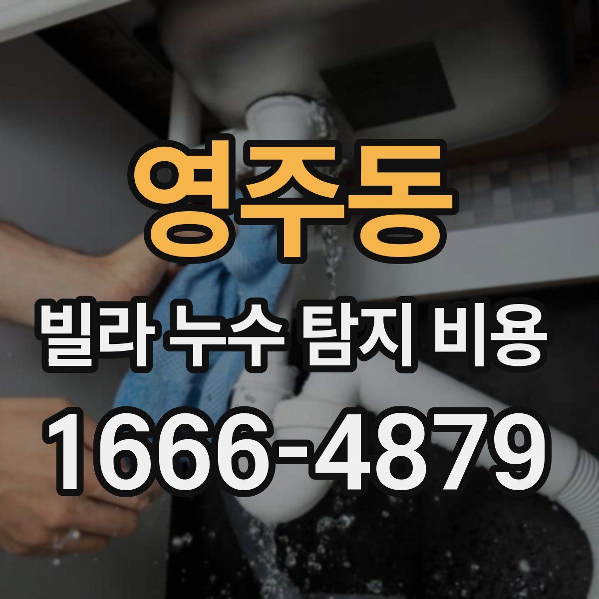 영주동 빌라 누수 탐지 비용