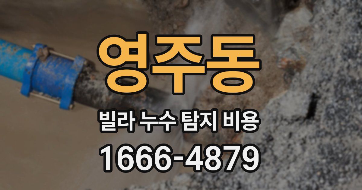 영주동 빌라 누수 탐지 비용