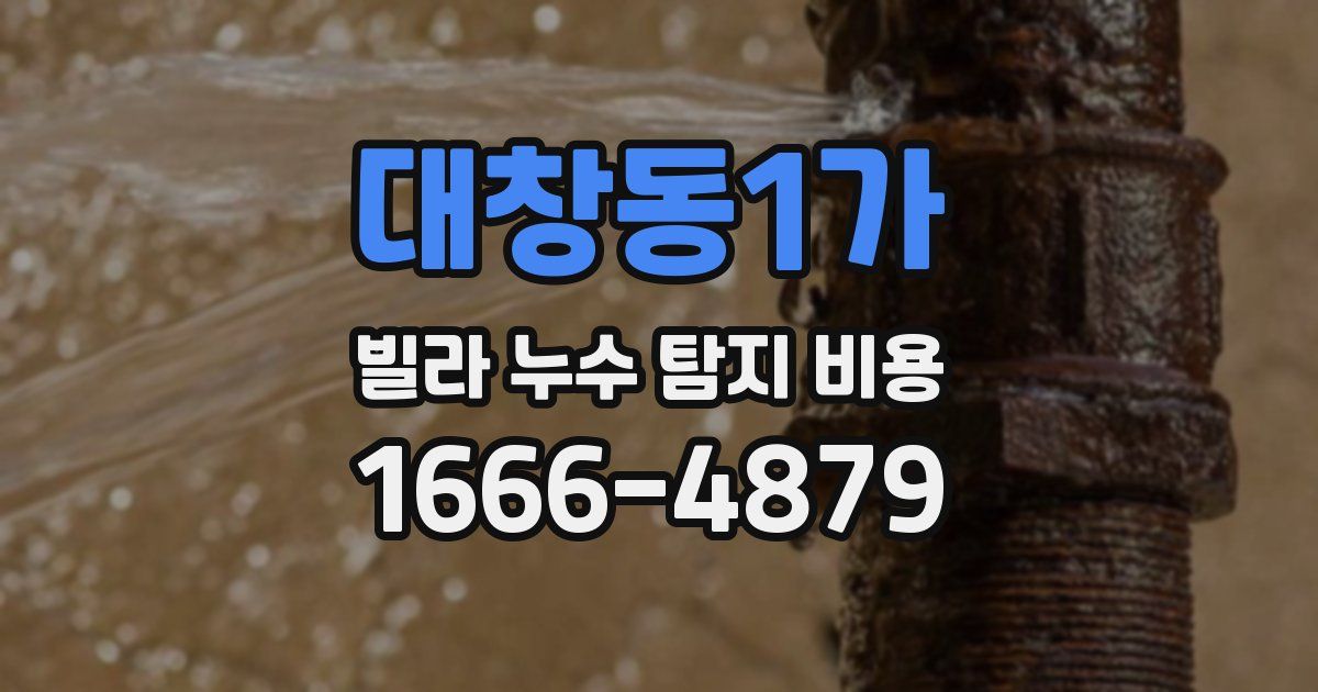 대창동1가 빌라 누수 탐지 비용