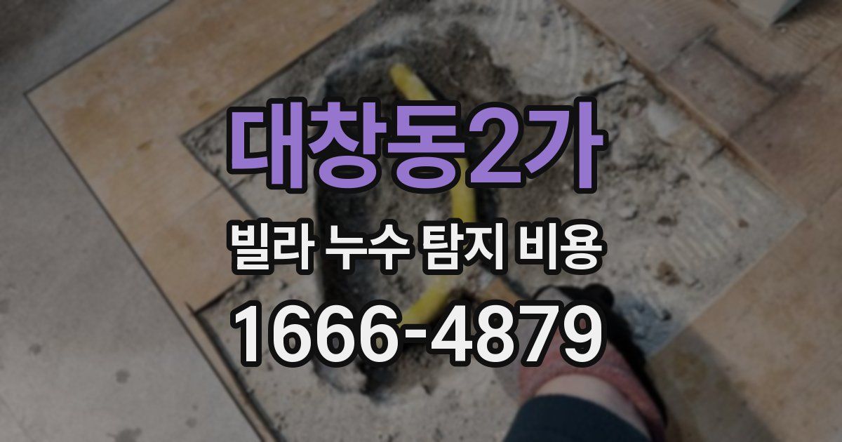 대창동2가 빌라 누수 탐지 비용