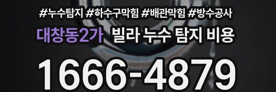 대창동2가 빌라 누수 탐지 비용