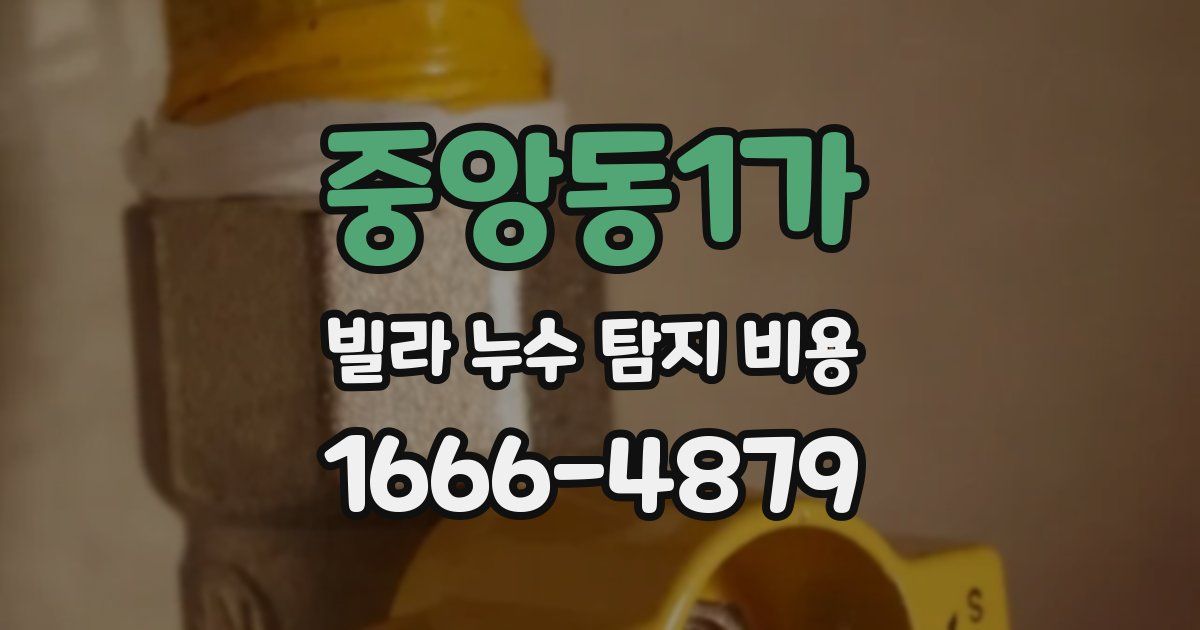 중앙동1가 빌라 누수 탐지 비용