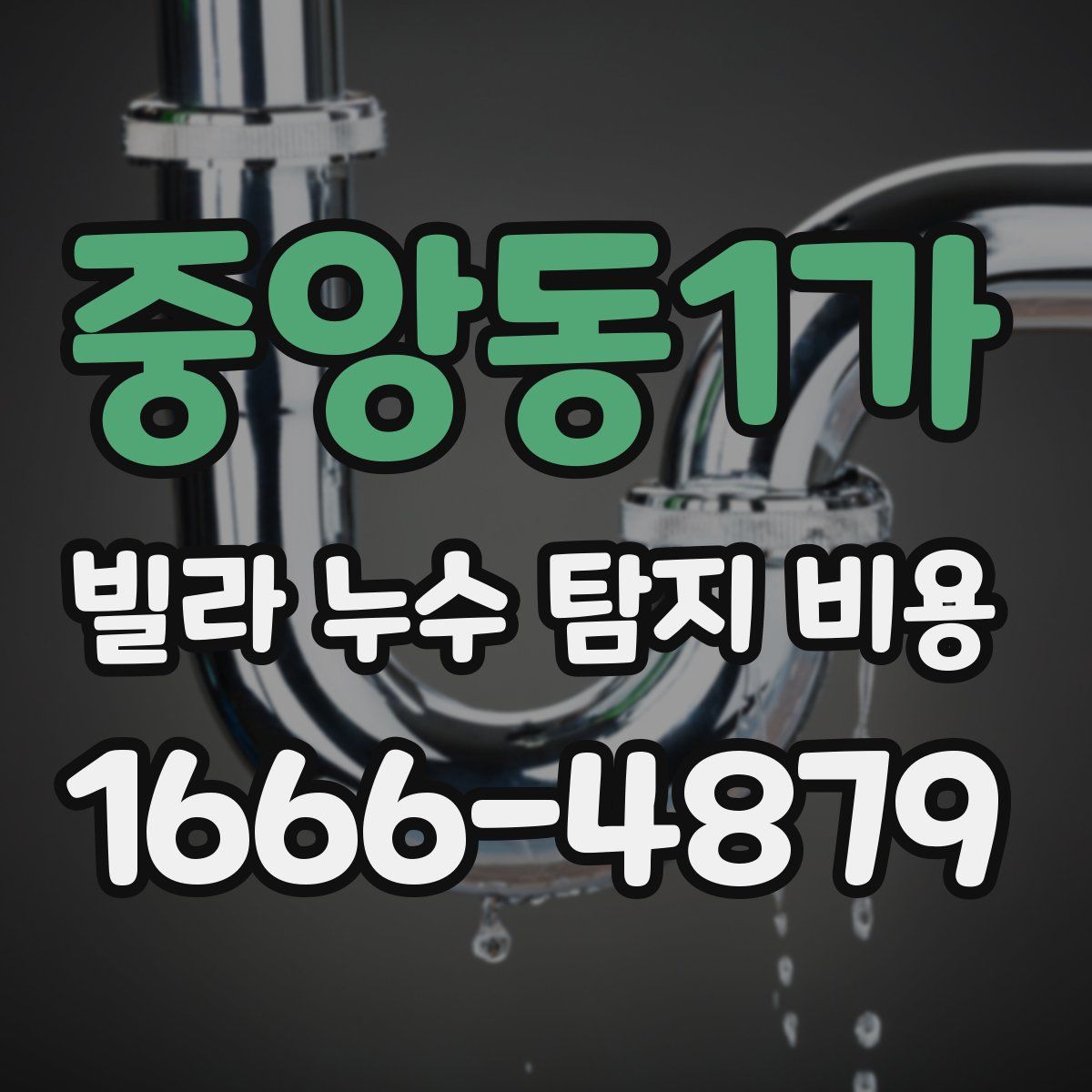 중앙동1가 빌라 누수 탐지 비용