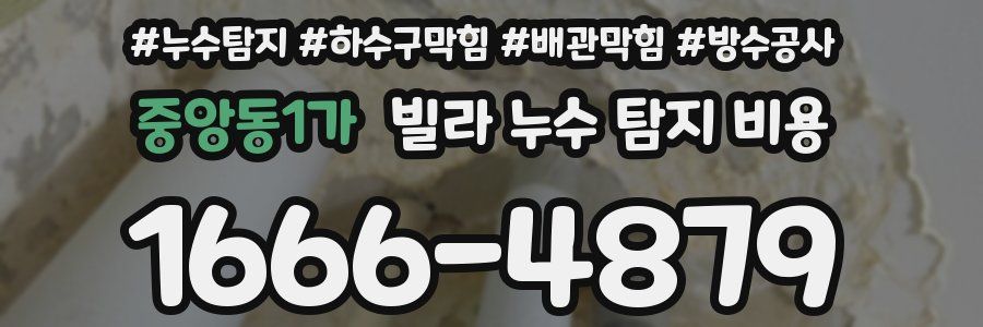 중앙동1가 빌라 누수 탐지 비용