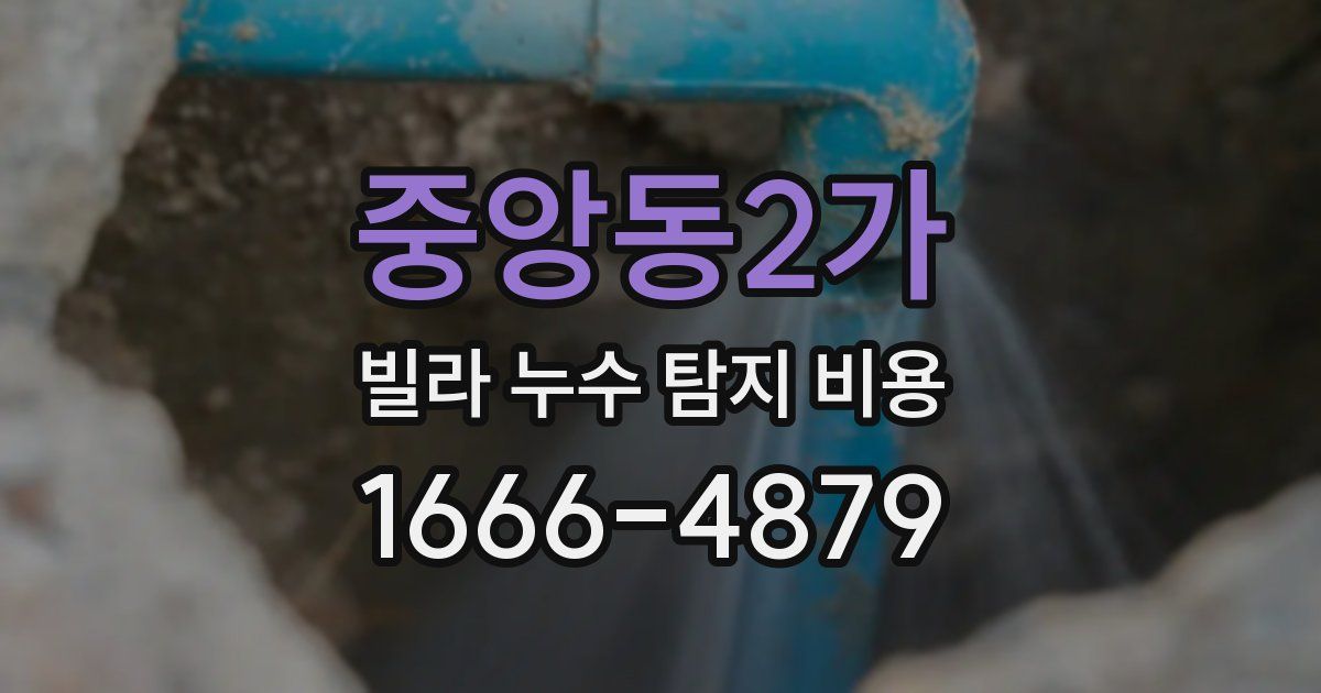 중앙동2가 빌라 누수 탐지 비용